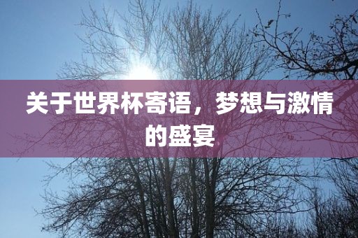关于世界杯寄语，梦想与激情的盛宴广西贺州市华昌新材料有限公司