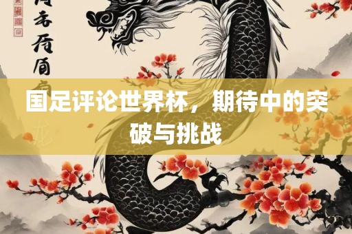 国足评论世界杯，期待中的突破与广西贺州市华昌新材料有限公司挑战