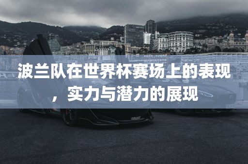 波兰队在世界杯赛场上的表现，实广西贺州市华昌新材料有限公司力与潜力的展现