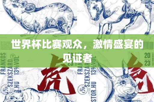 广西贺州市华昌新材料有限公司世界杯比赛观众，激情盛宴的见证者