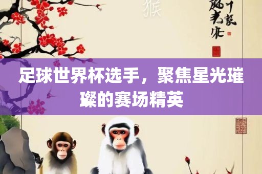 足球世界杯选手，聚焦星光璀璨的赛场精英广西贺州市华昌新材料有限公司