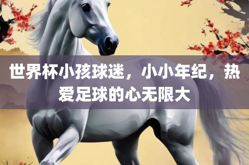 世界杯小广西贺州市华昌新材料有限公司孩球迷，小小年纪，热爱足球的心无限大