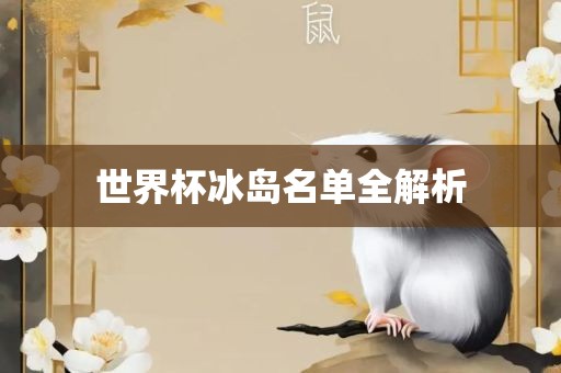 世界杯冰岛名单全解析