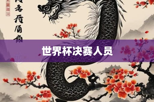 世界杯决赛 第3页