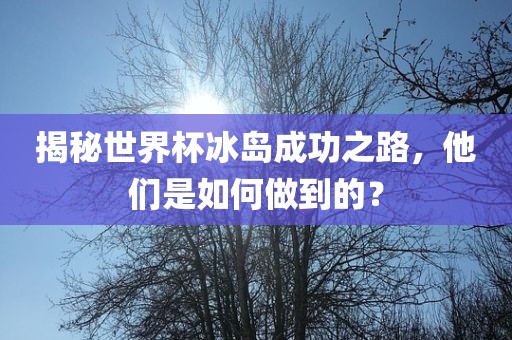 揭秘世界杯冰岛成功之路，他们是如何做到的？广西贺州市华昌新材料有限公司