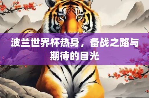 波兰世界杯热身，备战之路与期待的目光广西贺州市华昌新材料有限公司
