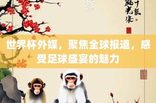 世界杯外媒，聚焦全球报道，感受足球盛宴的魅力广西贺州市华昌新材料有限公司