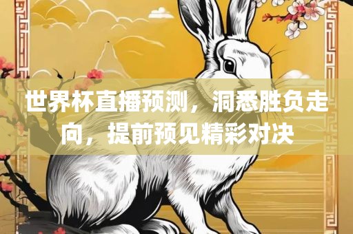 世界杯广西贺州市华昌新材料有限公司直播预测，洞悉胜负走向，提前预见精彩对决