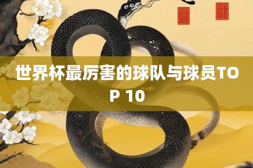 世界杯最厉害的球队与球员TOP 10广西贺州市华昌新材料有限公司