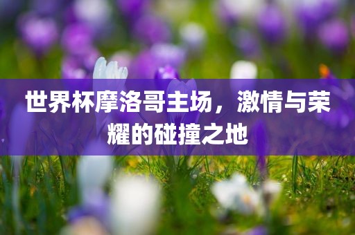 世界杯摩洛哥主场，激情与荣耀的碰撞之地