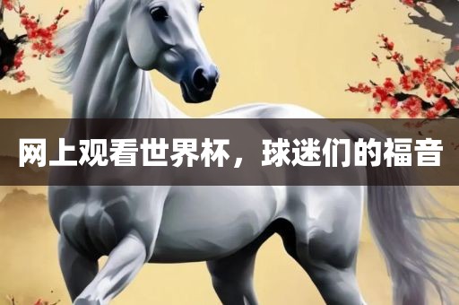 网上观看世界杯，球迷们的福音