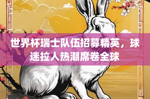 世界杯瑞士队伍招募精英，球迷拉人热潮席卷全球广西贺州市华昌新材料有限公司