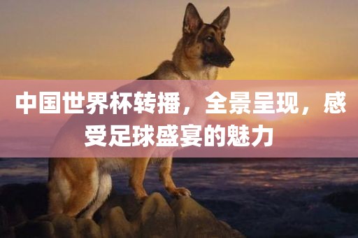 中国世界杯转播，全景呈现，感受足球盛宴的魅力
