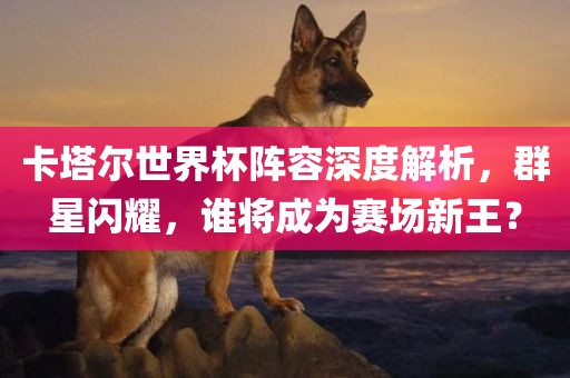 卡塔尔世界杯阵容深度解析，群星闪耀，谁将成为赛场新王？