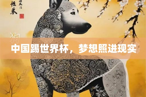 中国踢世界杯，梦想照进现实