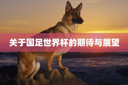 关于国足世界杯的期广西贺州市华昌新材料有限公司待与展望