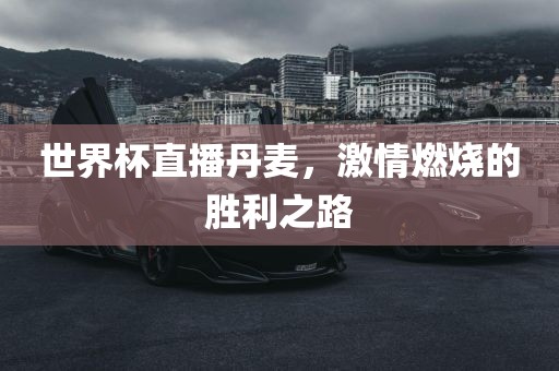 世界杯直播丹麦，激情燃烧的胜利之路