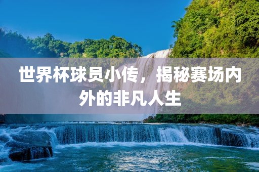 世界杯球员小传，揭秘赛场内外的非凡人生