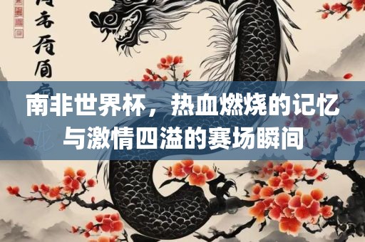 南非世界杯，热血燃烧的记忆与激情四溢的赛场瞬间