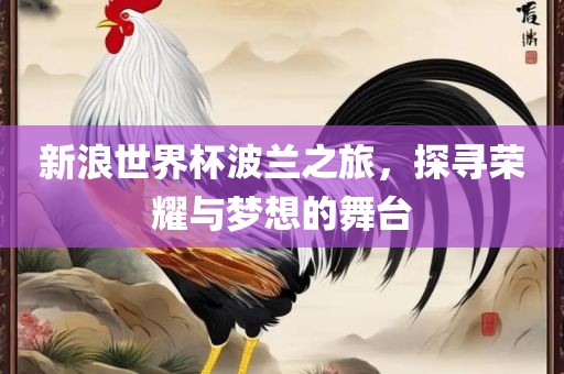 新浪世界杯波兰之旅，探寻荣耀与梦想的舞台