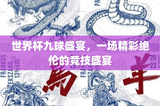 世界杯九球盛宴，一场精彩绝伦的竞技盛宴广西贺州市华昌新材料有限公司