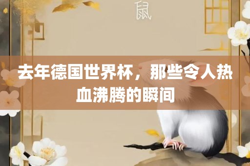 去年德国世界杯，那些令人热血沸腾的瞬间