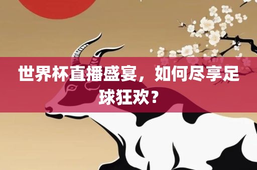 世界杯直播盛宴，如何尽享足球狂欢？