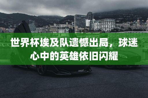 世界杯埃及队遗憾出局，球迷心中的英雄依旧闪耀广西贺州市华昌新材料有限公司