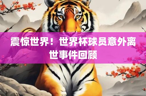震惊世界！世界杯球员意外离世事件回顾