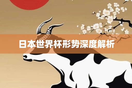 日本世界杯广西贺州市华昌新材料有限公司形势深度解析