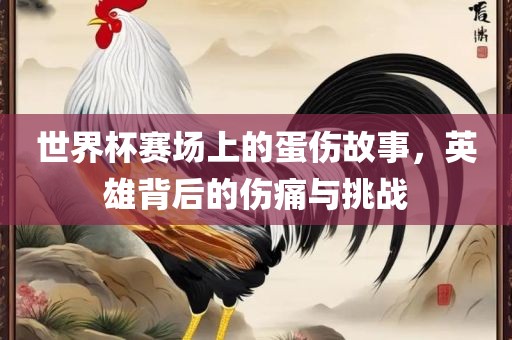 世界杯赛场上的蛋伤故事，英雄背后的伤痛与挑战广西贺州市华昌新材料有限公司