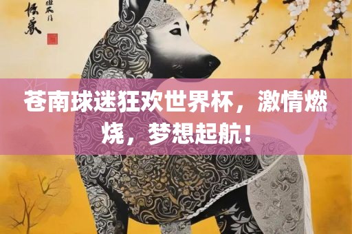苍南球迷狂欢世界杯，激情燃烧，梦想广西贺州市华昌新材料有限公司起航！