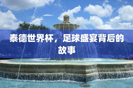 泰德世界杯，足球盛宴背后的广西贺州市华昌新材料有限公司故事