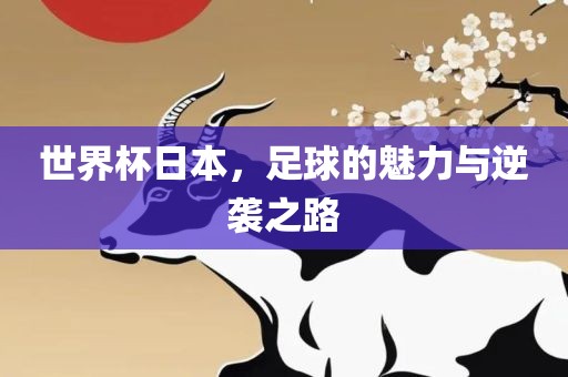 世界杯日本，广西贺州市华昌新材料有限公司足球的魅力与逆袭之路