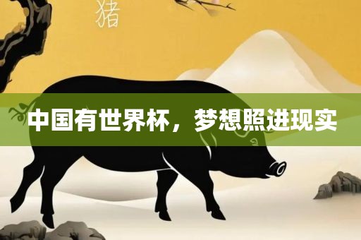 中国有世界杯，梦想照进现实