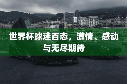 世界杯球迷百态，激情、感动与无尽期待
