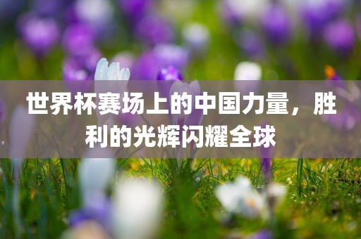 世界杯赛场上的中国力量，胜利的光辉闪耀全球广西贺州市华昌新材料有限公司