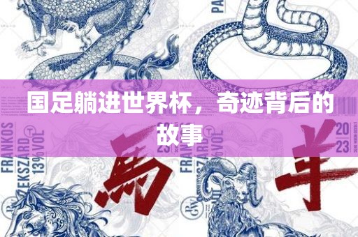 国足躺进世界杯，奇迹背后的故事