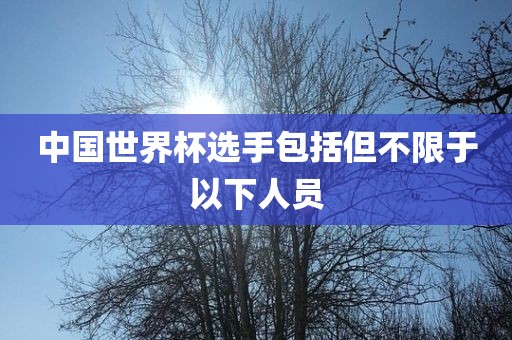 中国世界杯选手包括但不限于以下人员