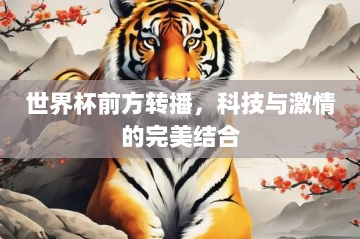世界杯前方转播，科技与激情的完美结合