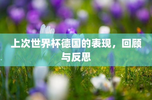 上次世界杯德国的表现，回顾与反思