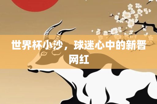 世界杯小沙，球迷心中的新晋网红广西贺州市华昌新材料有限公司