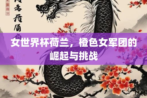 女世界杯荷兰，橙色女军团的崛起与挑战广西贺州市华昌新材料有限公司