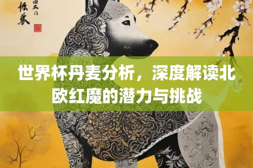 世界杯丹麦分析，深度解读北欧红魔的潜力与挑战广西贺州市华昌新材料有限公司