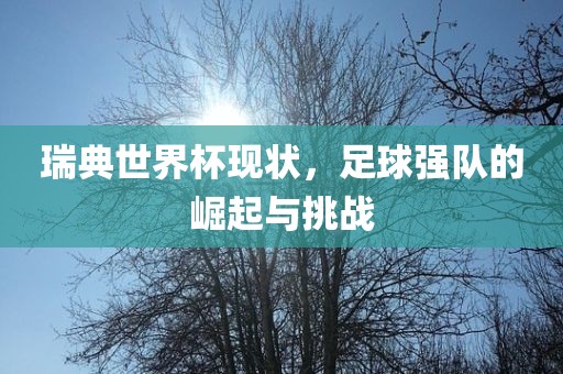 瑞典世界杯现状，足球强队的崛起与挑战广西贺州市华昌新材料有限公司