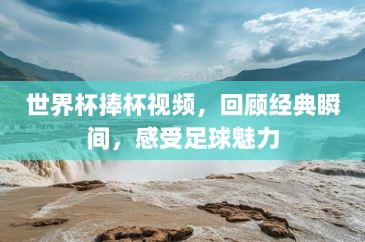 世界杯捧杯视频，回顾经典瞬间，感受足球魅力