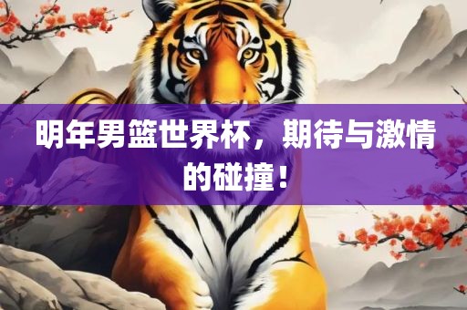 明年男篮世界杯，期待与激情的碰撞！