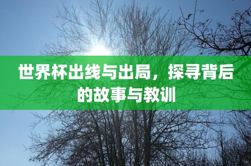 世界杯出线与出局，探寻背后的故事与教训广西贺州市华昌新材料有限公司