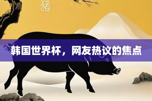 韩国世界杯，网友热议的焦点