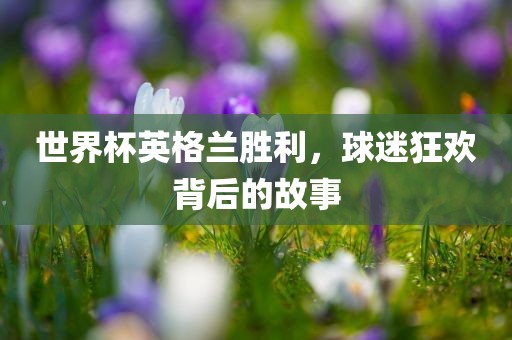 世界杯英格兰胜利，球迷狂欢背后的故事